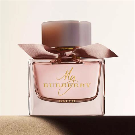 burberry parfüm classic|best smelling Burberry perfume.